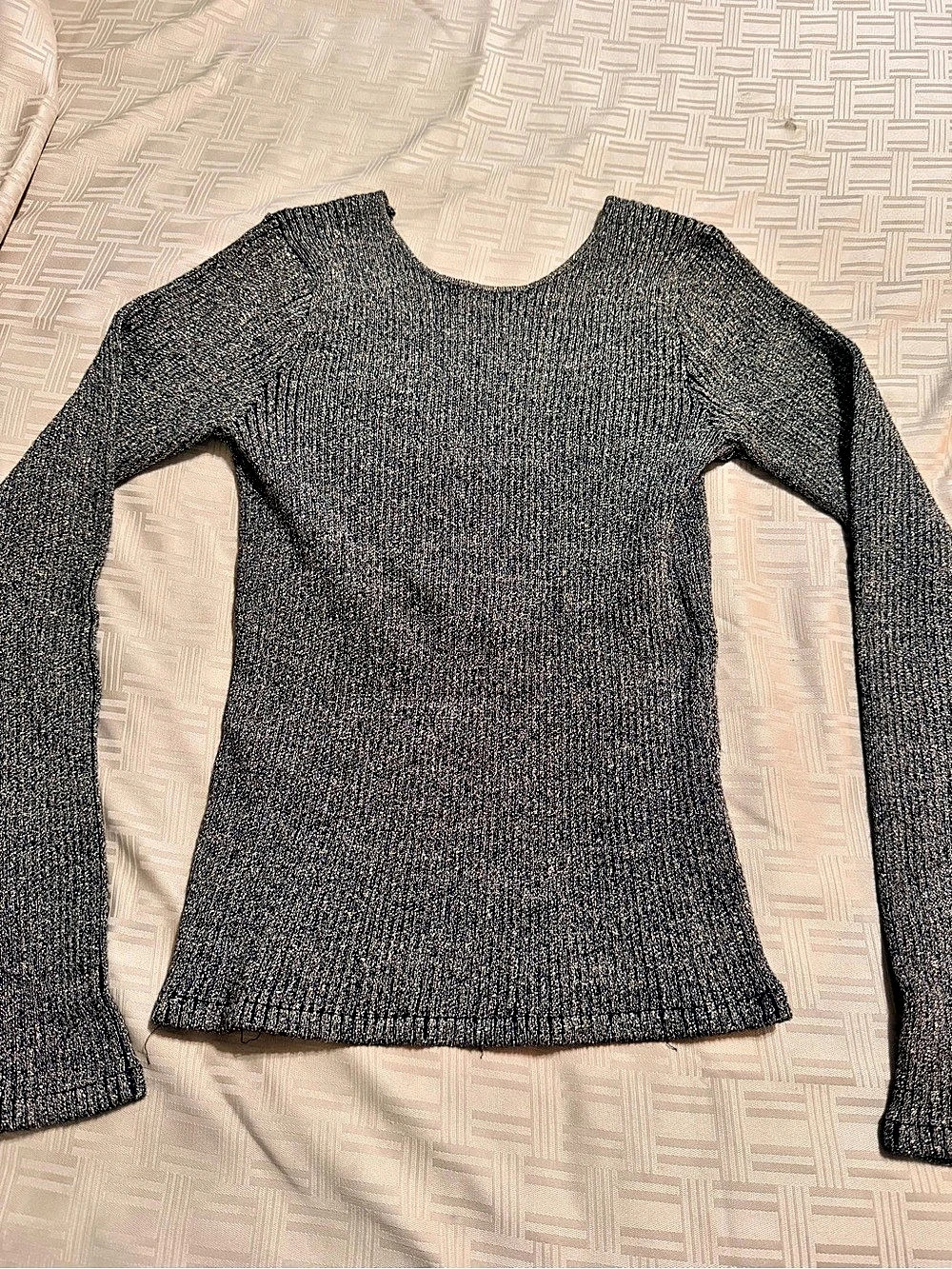 Zara Metallic Long Sleeve Top Size Large NWT